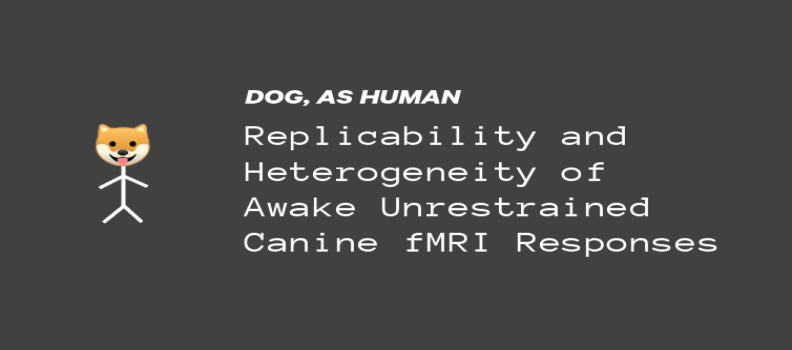 Replicability and heterogeneity of awake unrestrained canine FMRI responses.